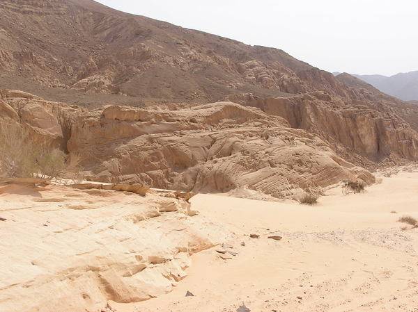 The Desert Father Meets a Psychotherapist